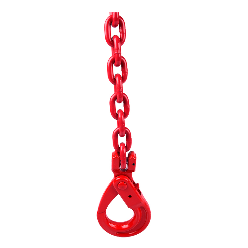 PL系列G80级链条