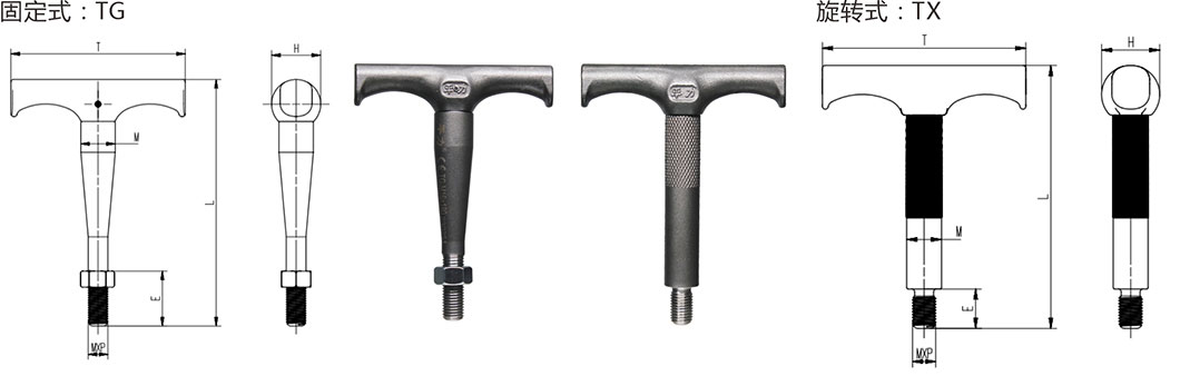 丁月五香天免费在线235